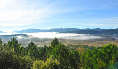 Fog at the Natural Park of the Valley of Alcudia and Sierra Madrona, province of Ciudad Real, Castilla la Mancha region, Spain