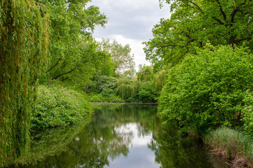 Fototapeta premium Pond surrounded by trees