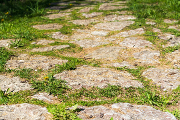 stone path in the park
