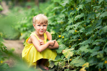 The girl in a yellow dress sits in a kitchen garden and holds a cucumber in hand