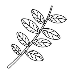 Leaf tropical cartoon nature cartoon isolated in black and white