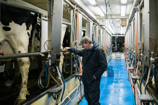 Dairy farm checking machinery in milking area
