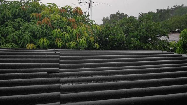 Lluvia sobre tejado con &aacute;rboles al fondo en poblado, invierno en la ma&ntilde;ana, agua paisaje gotas naturaleza 