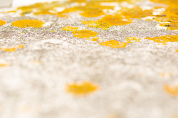 Textura plástico viejo