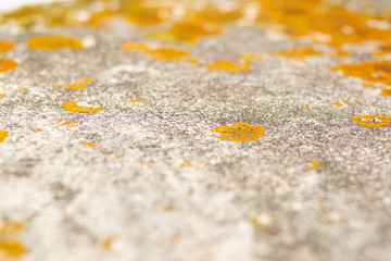 Textura plástico viejo