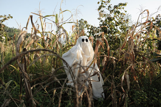 Ghost n corn