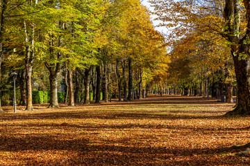 Maristany Walk of Camprodon