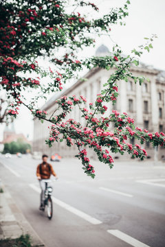 Cyclist strolling through Berlin