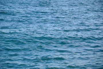 Obraz premium blue sea water in a windy day
