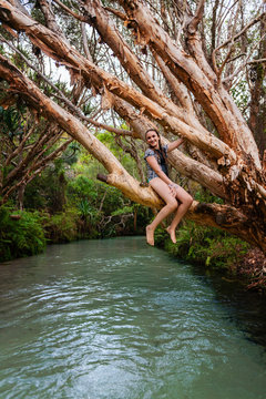 Eli Creek, Fraser Island