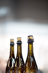 Glass champagne bottles with stoppers