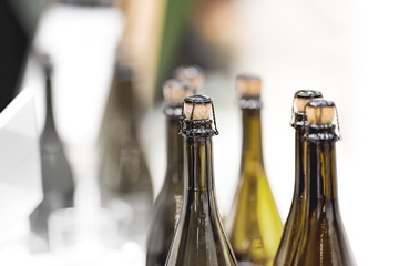 Glass champagne bottles with stoppers