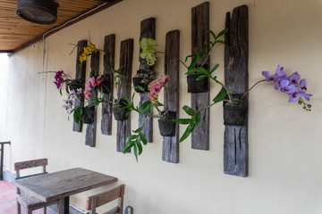 some colorful angrek flowers and types of wall decorations in a restaurant in Ubud, Bali