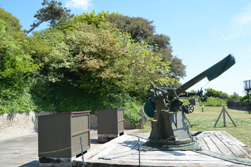 Dover