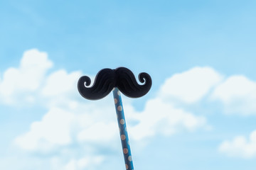 view of a toy mustache on a sky background
