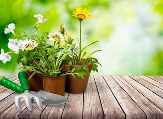 Gardening.