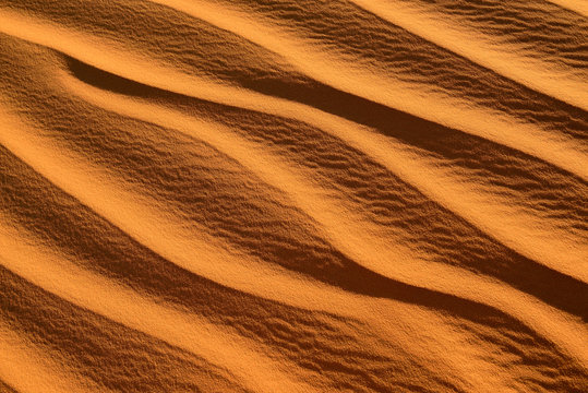 Africa, Algeria, Sahara, ripple marks, texture on a sand dune