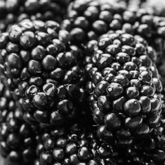 Fresh blackberries background, top view.