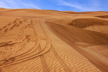 Sand desert landscape, Dubai, UAE