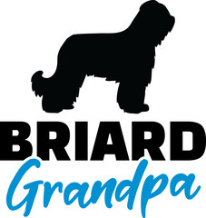 Briard Grandpa with silhouette