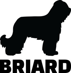 Briard silhouette with name