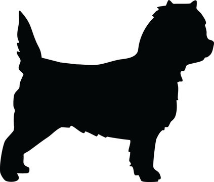 recommend clip art: Cairn Terrier silhouette