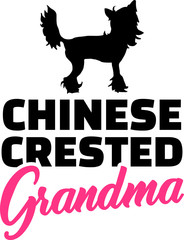 Chinese Crested Grandma with silhouette