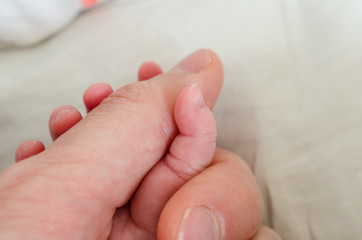 Hand of newborn baby holding male adults finger. Concept of help and family. Father holding hand.