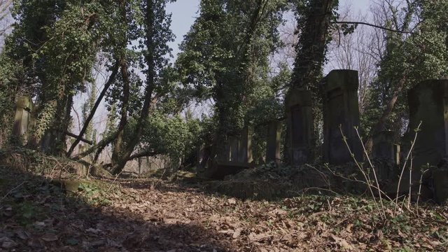 Dolly shot of jewish cemetery with matzevah