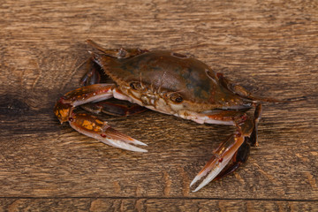 Raw crab - ready for cooking