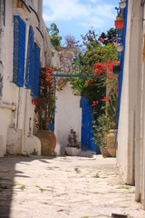 Fototapeta na wymiar petite ruelle fleurie de Sidi Bou Saïd