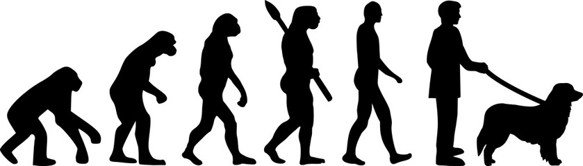 Hovawart Evolution silhouette