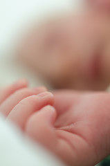 Hands of sleeping newborn baby. Face in shallow depth of field.