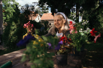 Smiling senior gardener working with flowers