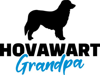 Hovawart Grandpa with silhouette