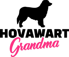 Hovawart Grandma with silhouette