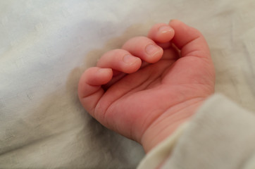 Small hand of newborn baby. Infant fingers.