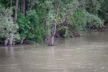 Isar Hochwasser in München, Bayern. Flut Überschwemmung Fluss