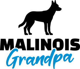 Malinois Grandpa with silhouette