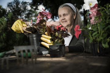 Fototapeta premium Happy mature woman gardening and smiling