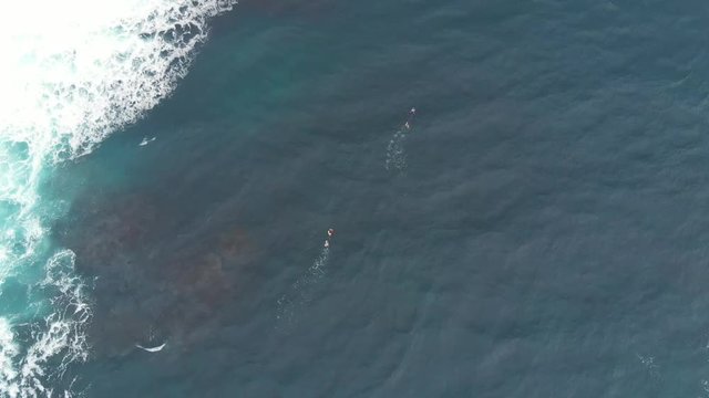 Aerial Drone Scuba Divers with white waves Azores Portugal