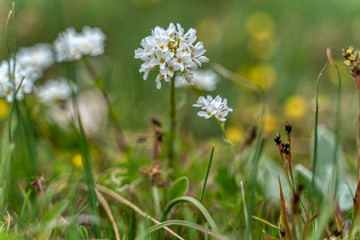 Crimea. Sea and mountains. this region has everything for recreation and tourism.