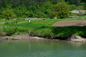 people cultivate the land by the river