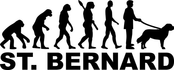 Saint Bernard Evolution