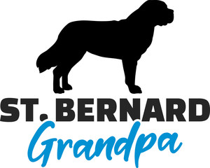 Saint Bernard Grandpa with silhouette