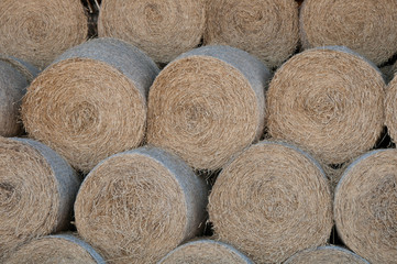 Round haystacks in storage under the roof of the barn. Agricultural harvesting hay for the winter. Winter feed for cows.
