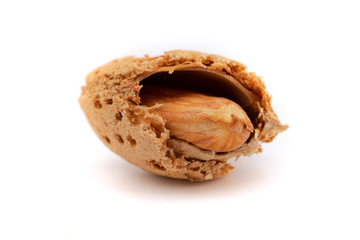 almond with shell on white background