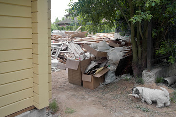  messy backyard and dog