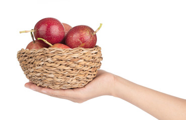 Hand holding basket of passion fruit isolated on a white background