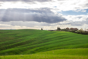 green hills and cypresses in Crete Senesi in Tuscany